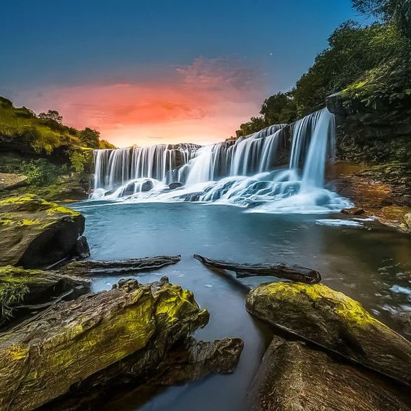 4129689-4129688_international-all (1)